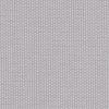 Light Grey Silver